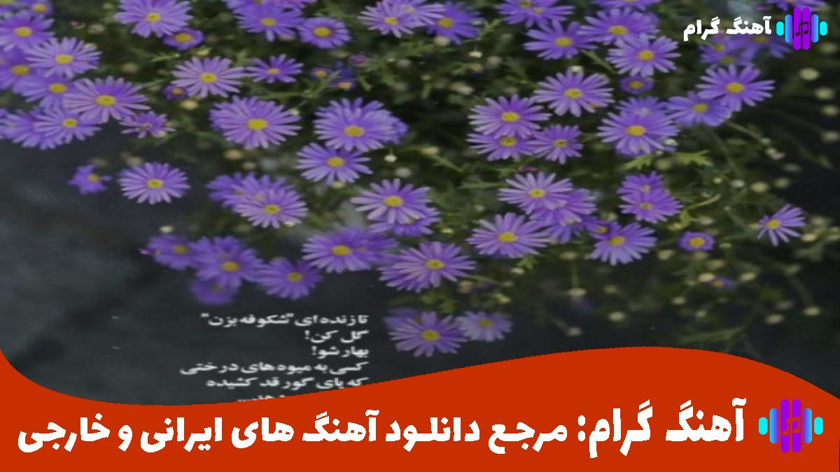 کاور آهنگ رکب زدش دل تو فن زدش به زندگیم گند زدش از محسن لرستانی
